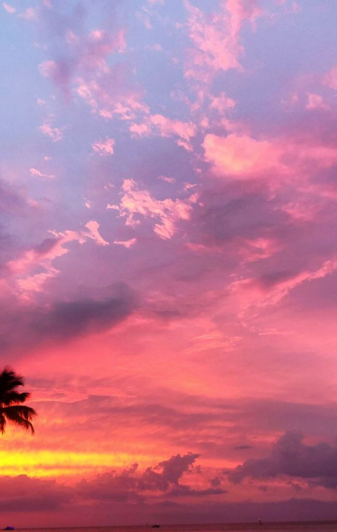 sunset on the beach lockscreen wallpaper  Sky aesthetic, Sunset