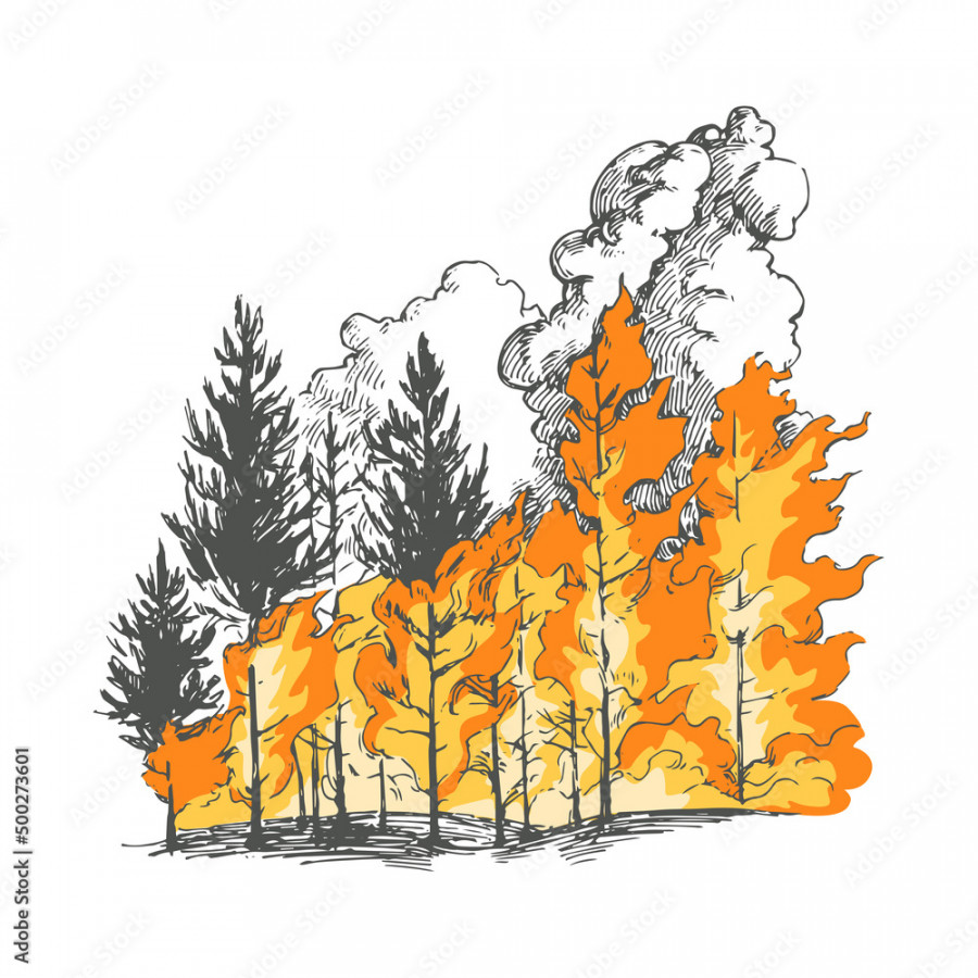 Vector hand drawn illustration with burning forest