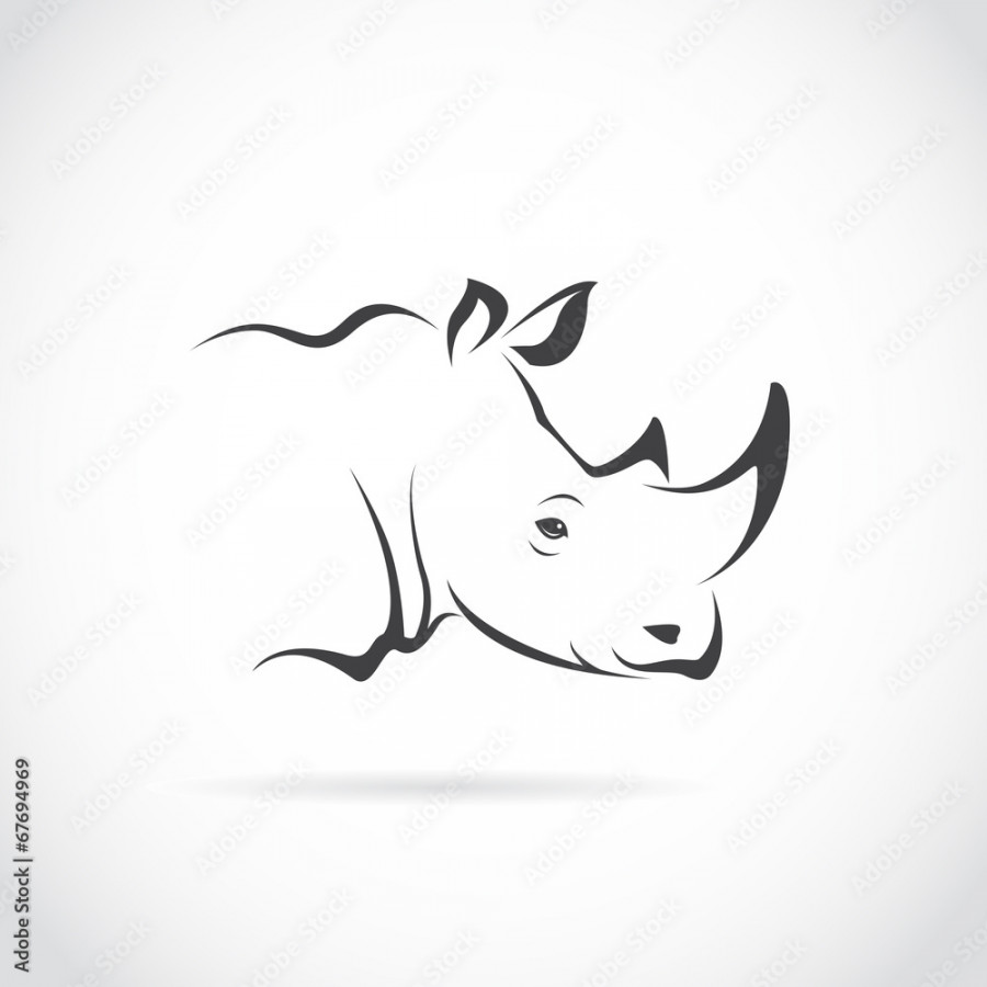 Vector of rhino head on white background. Animal