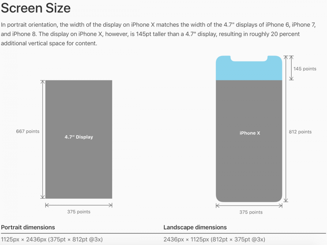 Whats the Difference Between iPhone  Plus and iPhone X Aspect