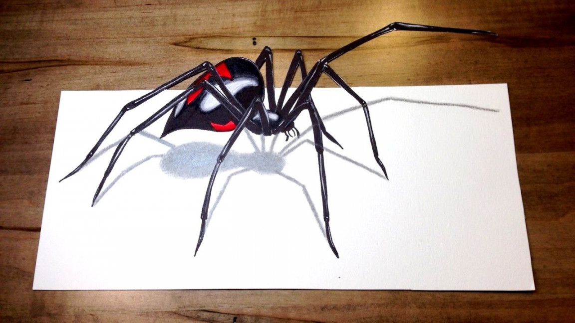 WILL IT BITE?! - Black Widow Challenge D Spider Drawing Trick Art