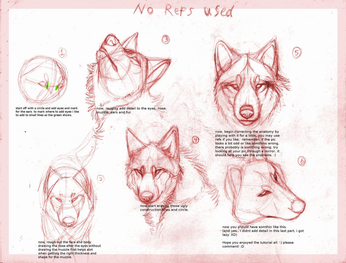 Wolf drawing tutorial by B-theawsomegeek on DeviantArt