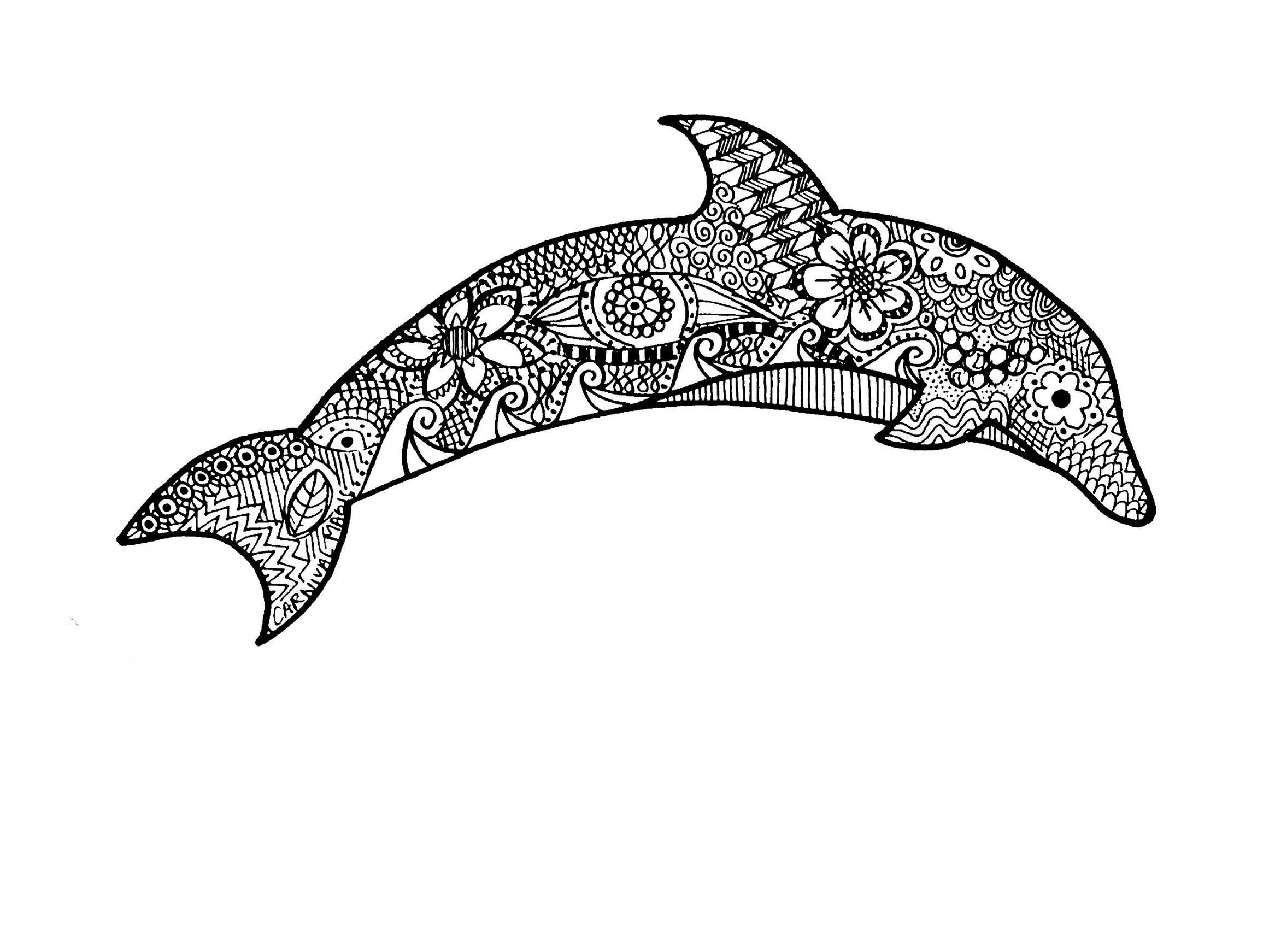 Zentangle Dolphin Drawing :)  Dolphin drawing, Zentangle art