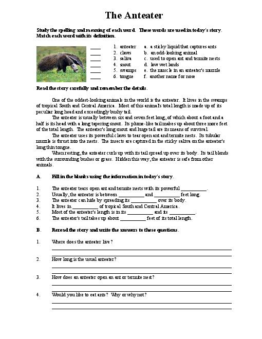 60+ Worksheets For Middle School 24