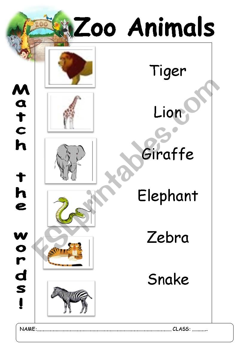 Printable Zoo Animals Worksheets Pdf 14