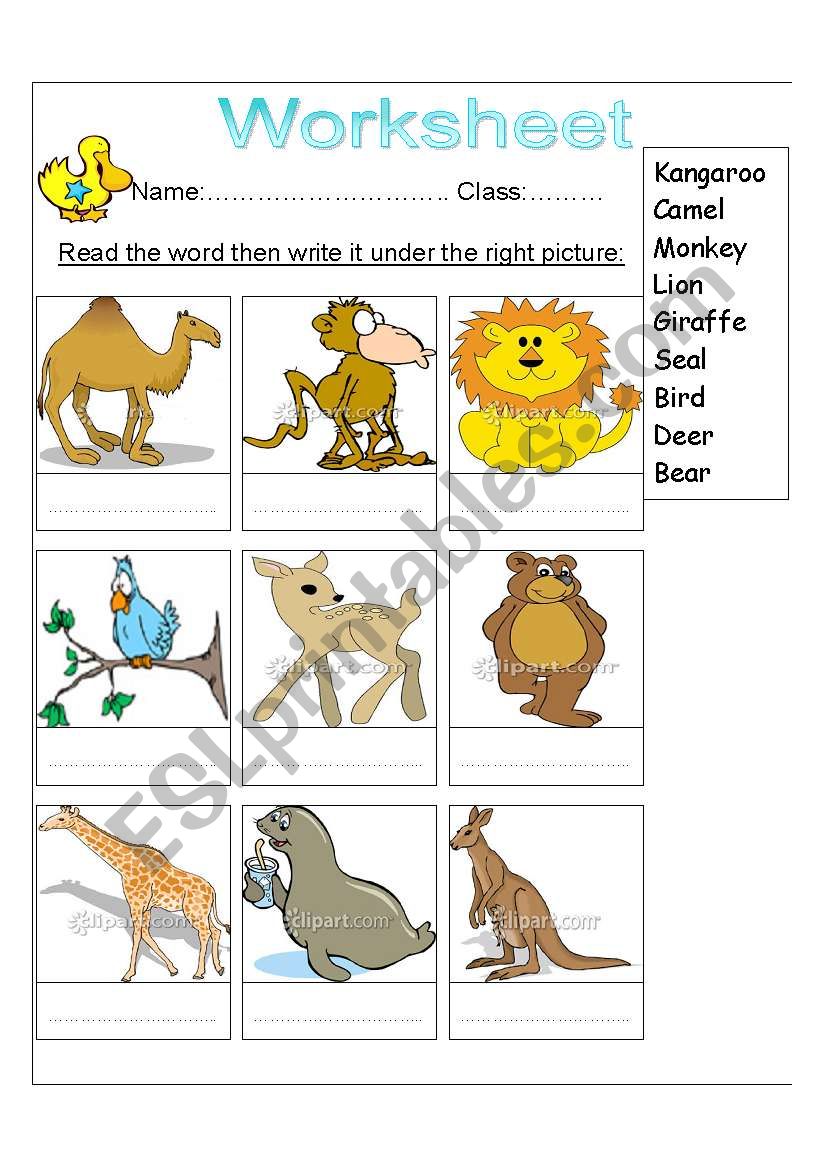 Printable Zoo Animals Worksheets Pdf 23