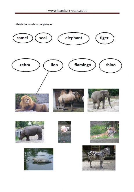 Printable Zoo Animals Worksheets Pdf 26