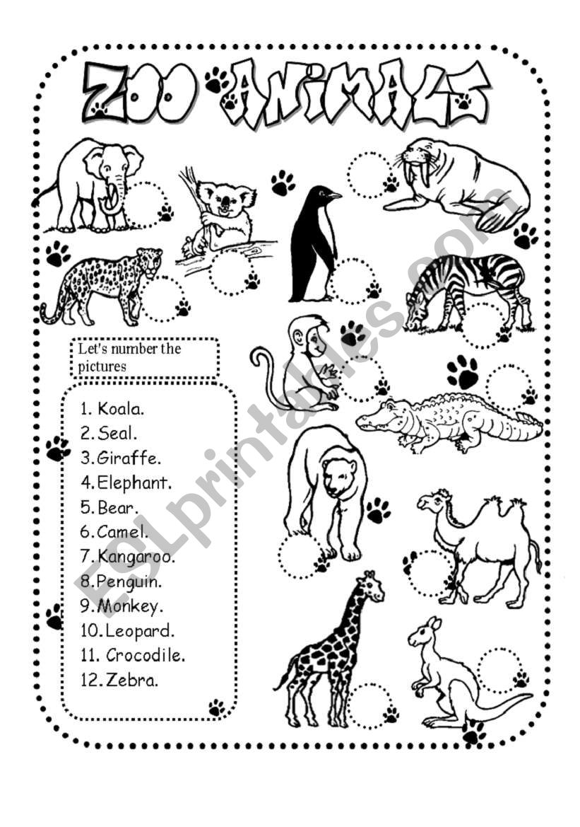 Printable Zoo Animals Worksheets Pdf 48