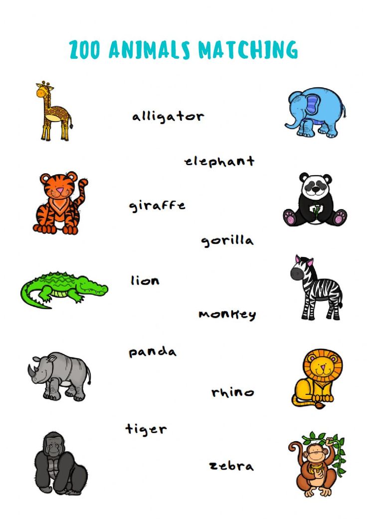 Printable Zoo Animals Worksheets Pdf 53