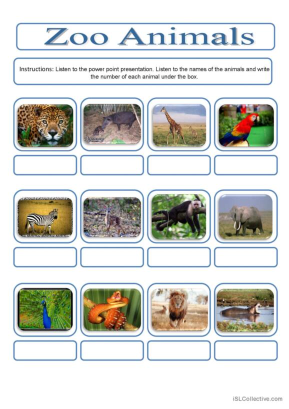 Printable Zoo Animals Worksheets Pdf 55