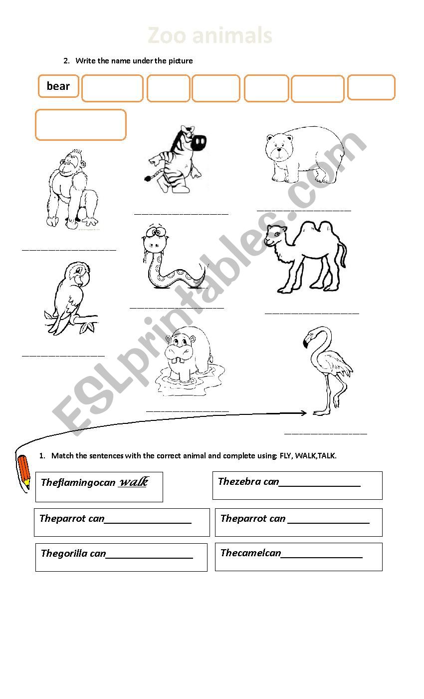 Printable Zoo Animals Worksheets Pdf 73