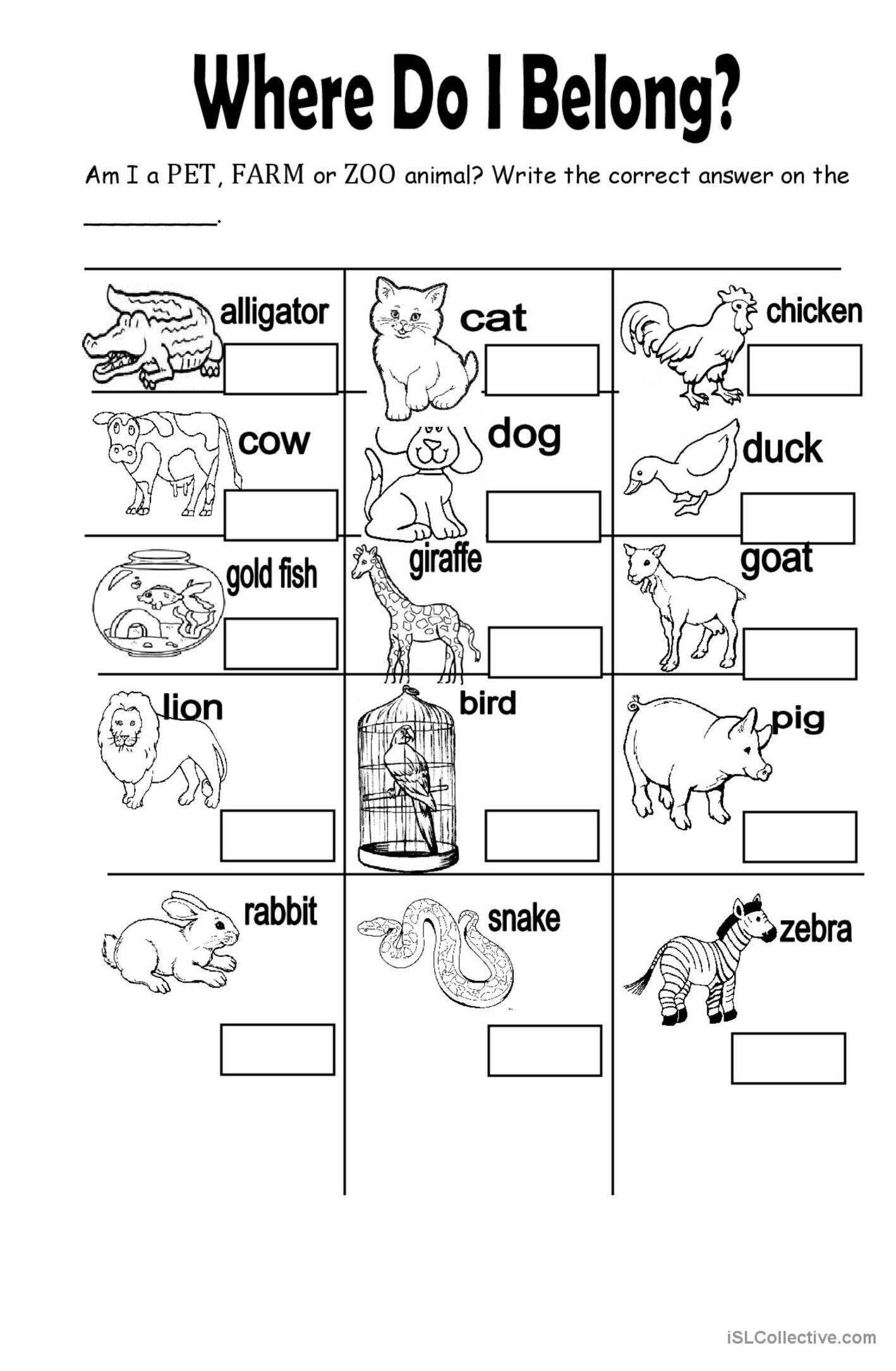 Printable Zoo Animals Worksheets Pdf 78