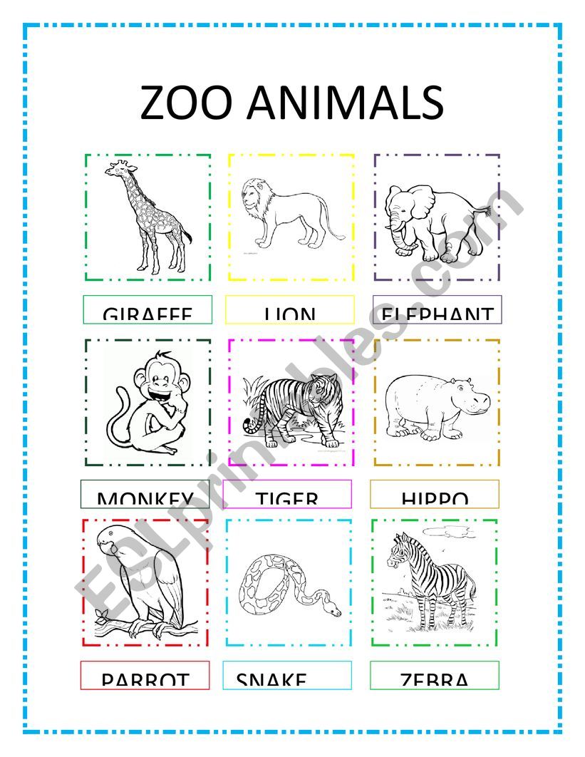 Printable Zoo Animals Worksheets Pdf 79