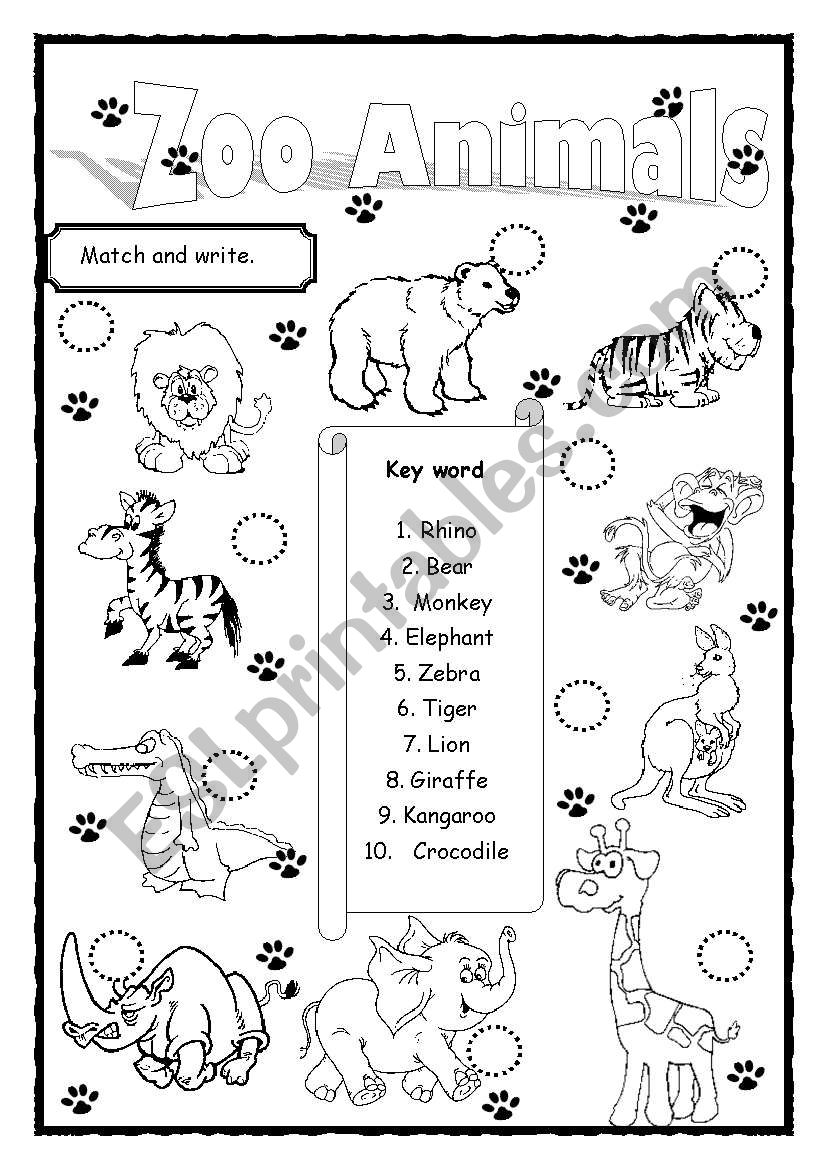 Printable Zoo Animals Worksheets Pdf 81