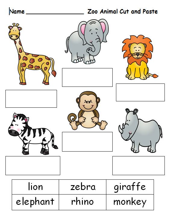 Printable Zoo Worksheets For Preschool 16