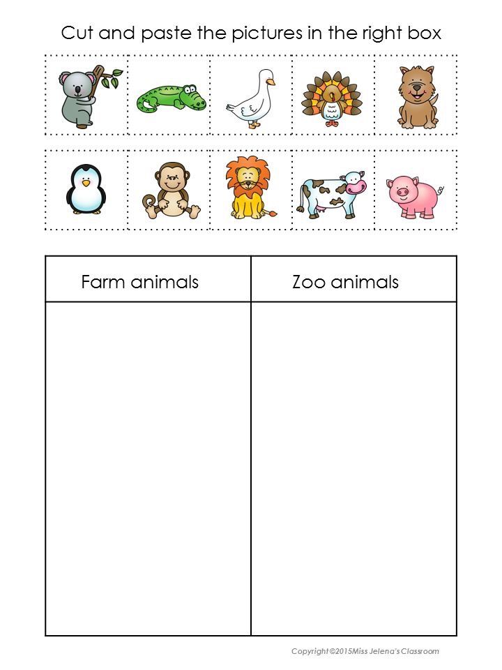 Printable Zoo Worksheets For Preschool 25