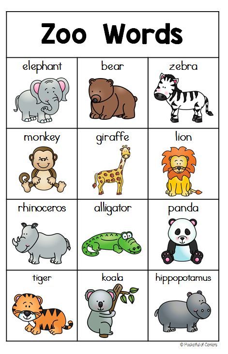 Printable Zoo Worksheets For Preschool 30