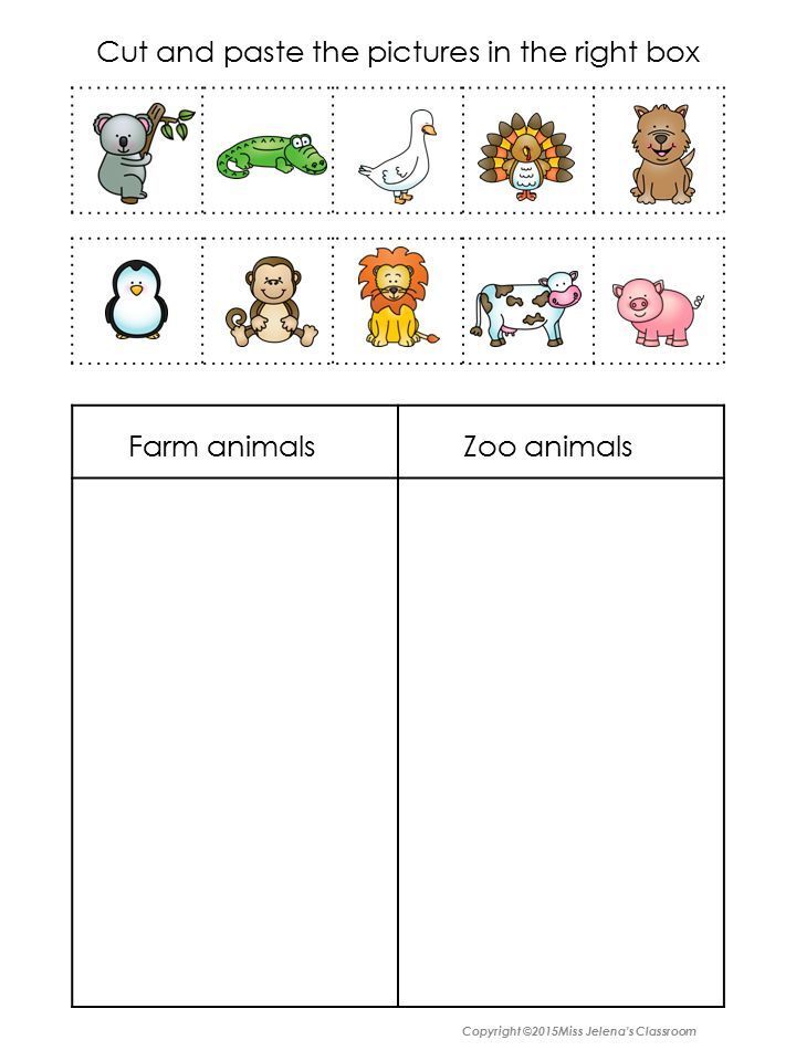 Printable Zoo Worksheets For Preschool 38