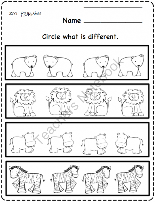 Printable Zoo Worksheets For Preschool 57