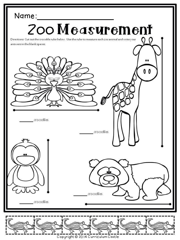 Printable Zoo Worksheets For Preschool 60