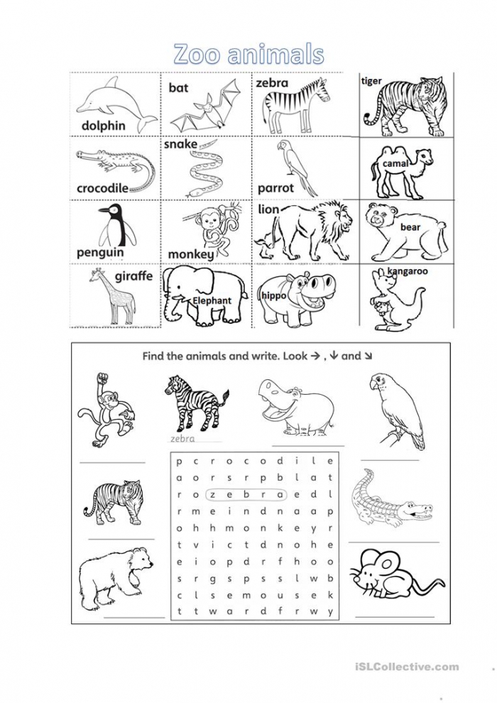 Printable Zoo Worksheets For Preschool 80