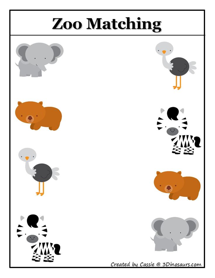 Printable Zoo Worksheets For Preschool 81