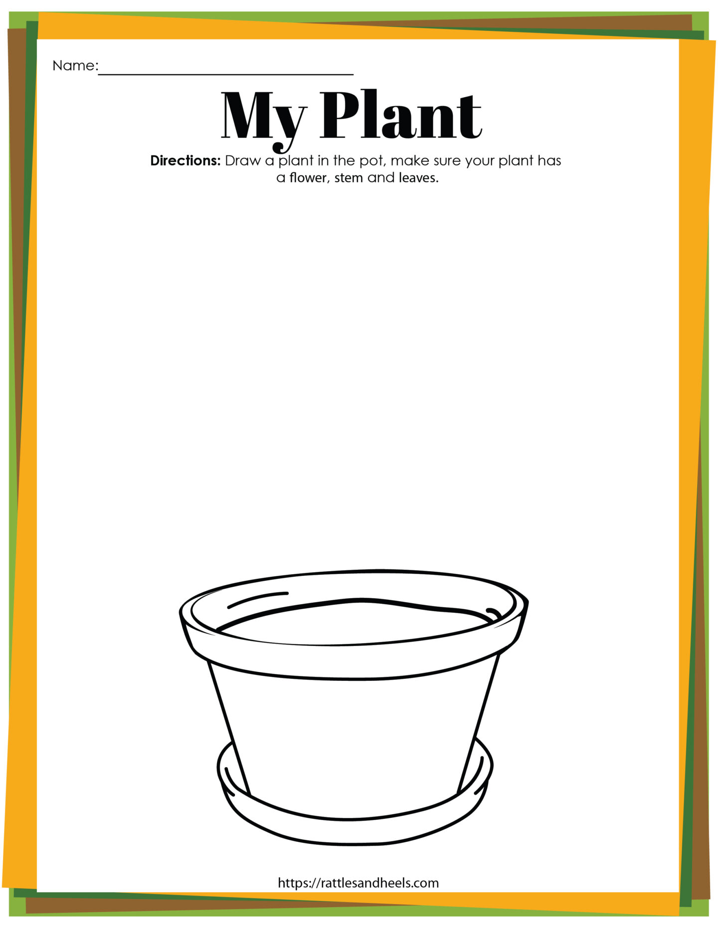 Worksheet Plant Life Cycle 25