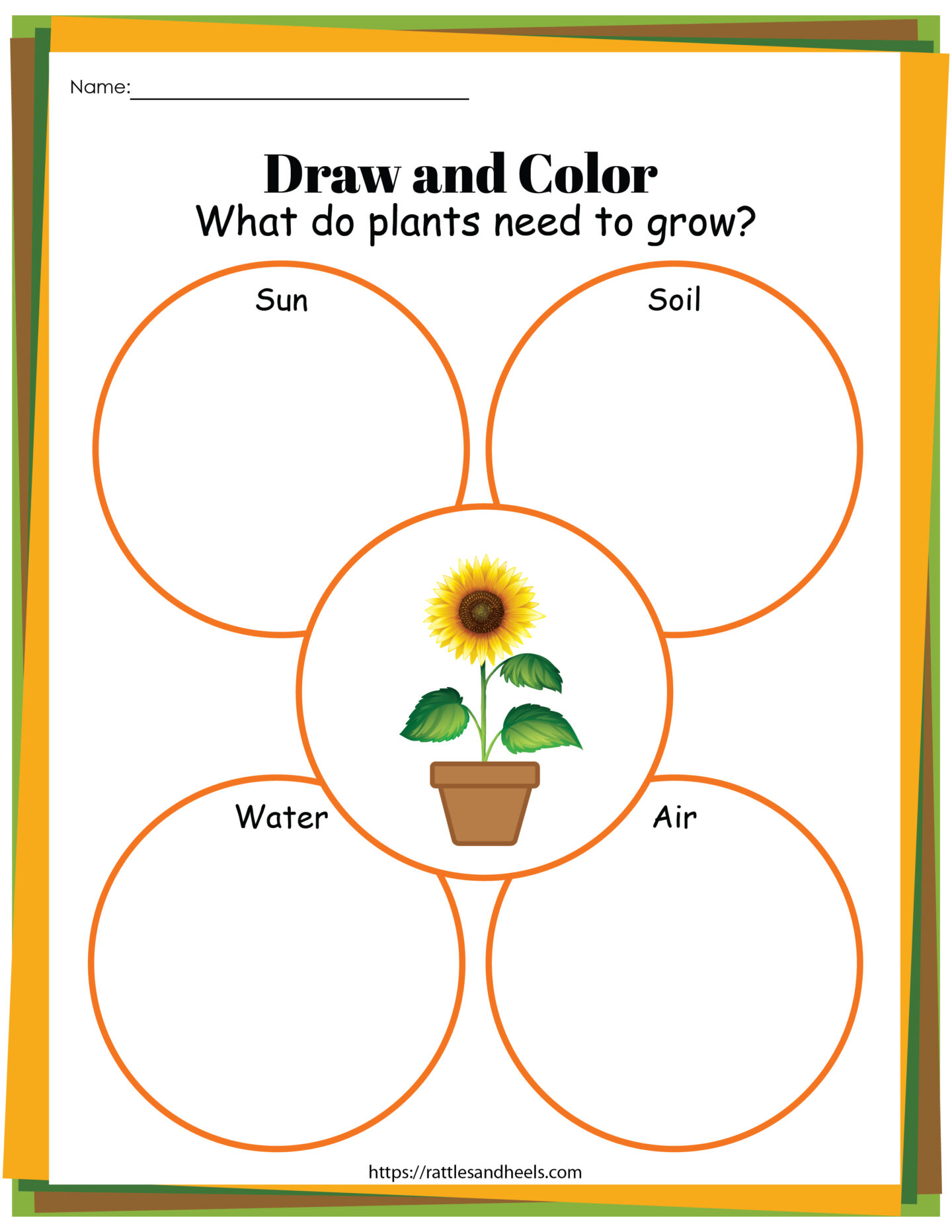 Worksheet Plant Life Cycle 29