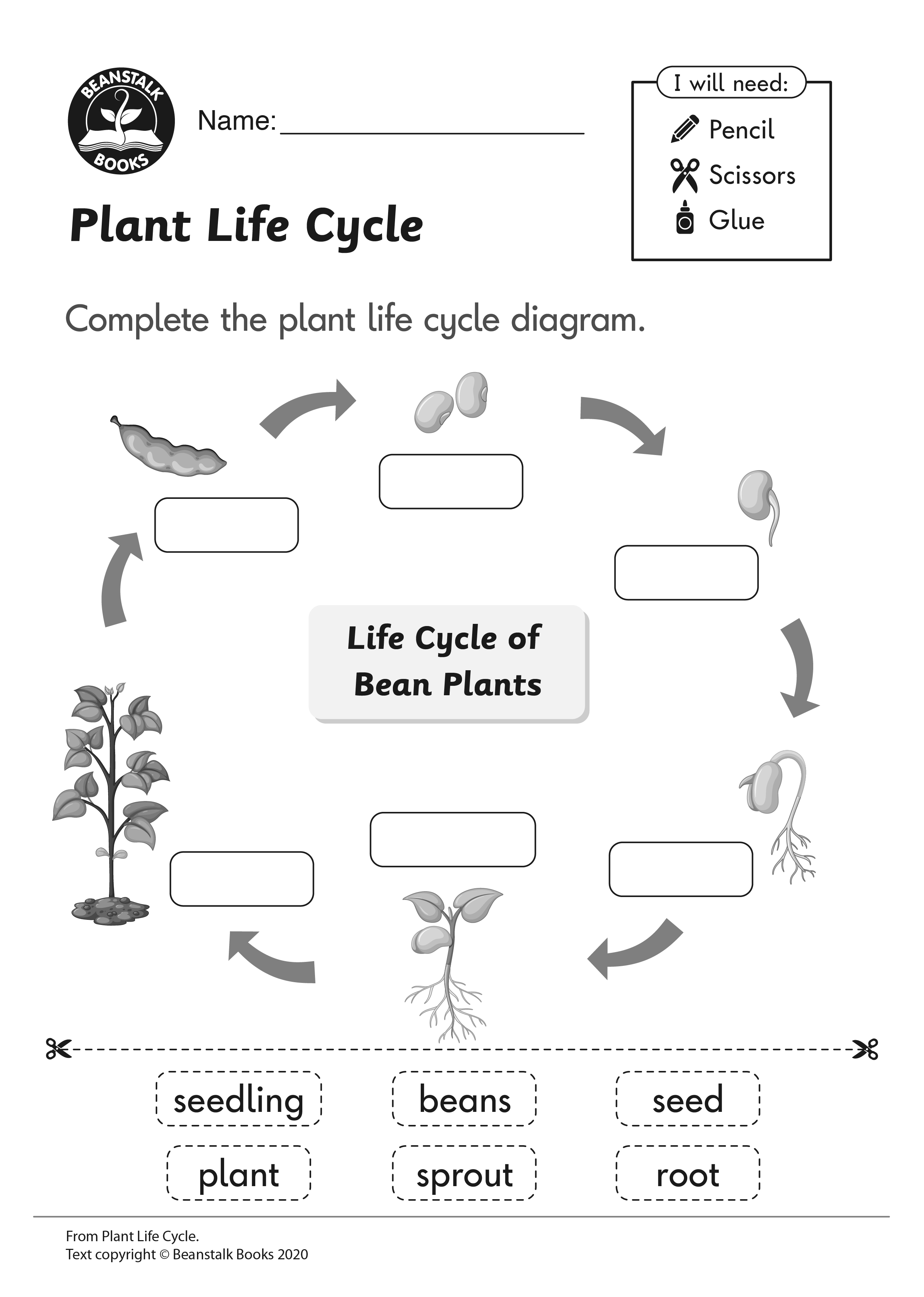 Worksheet Plant Life Cycle 38