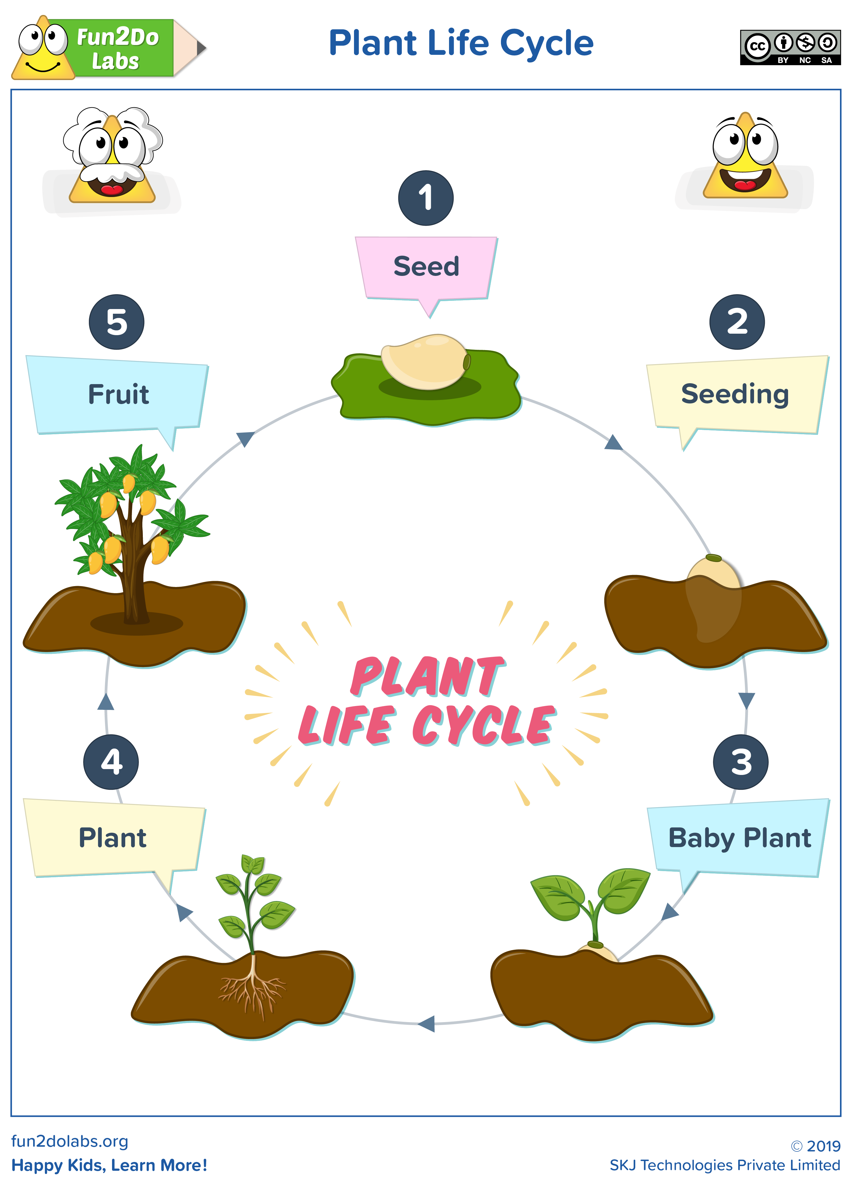 Worksheet Plant Life Cycle 41