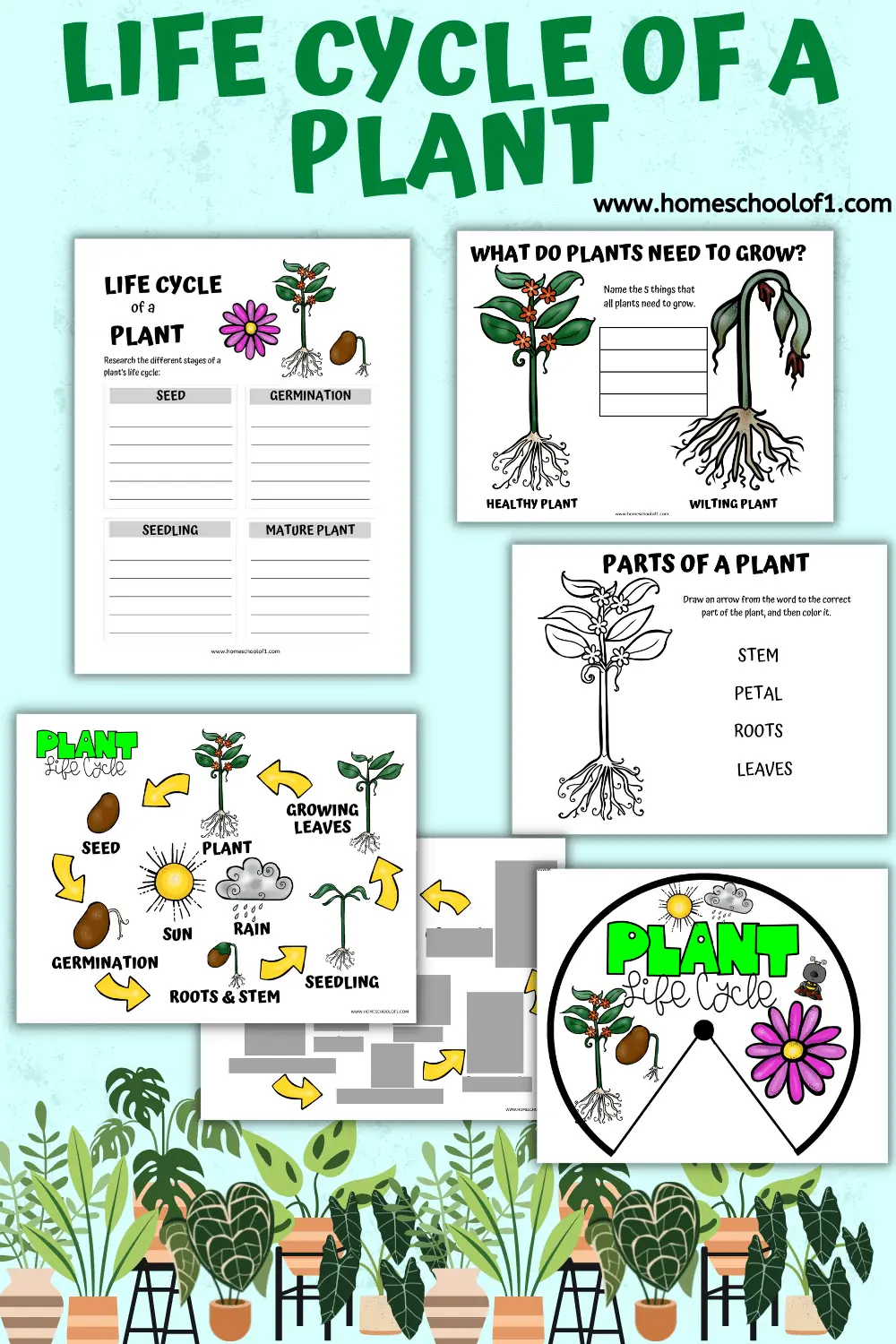 Worksheet Plant Life Cycle 42