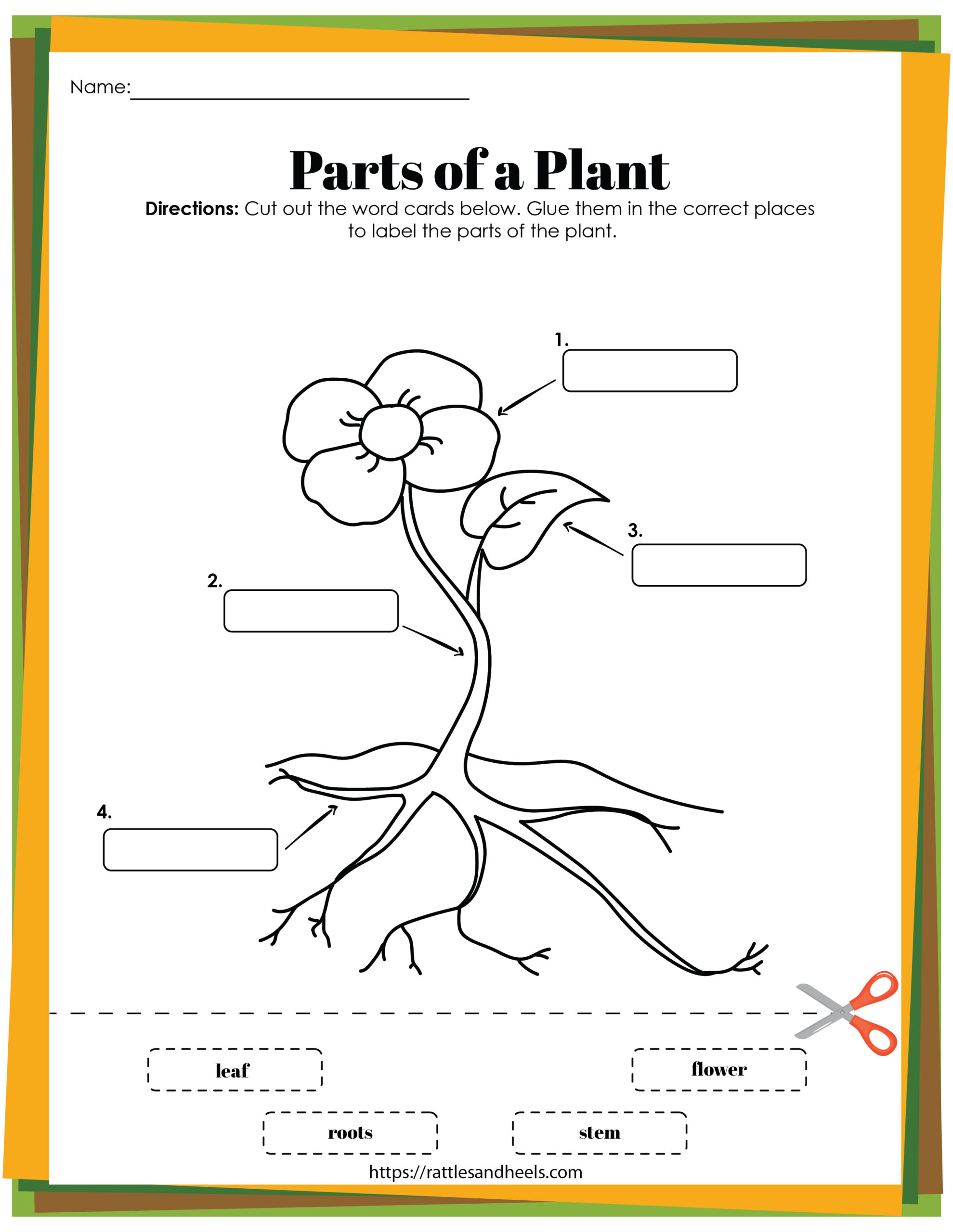 Worksheet Plant Life Cycle 48