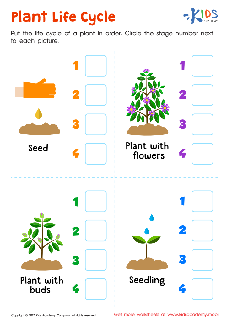 Worksheet Plant Life Cycle 49