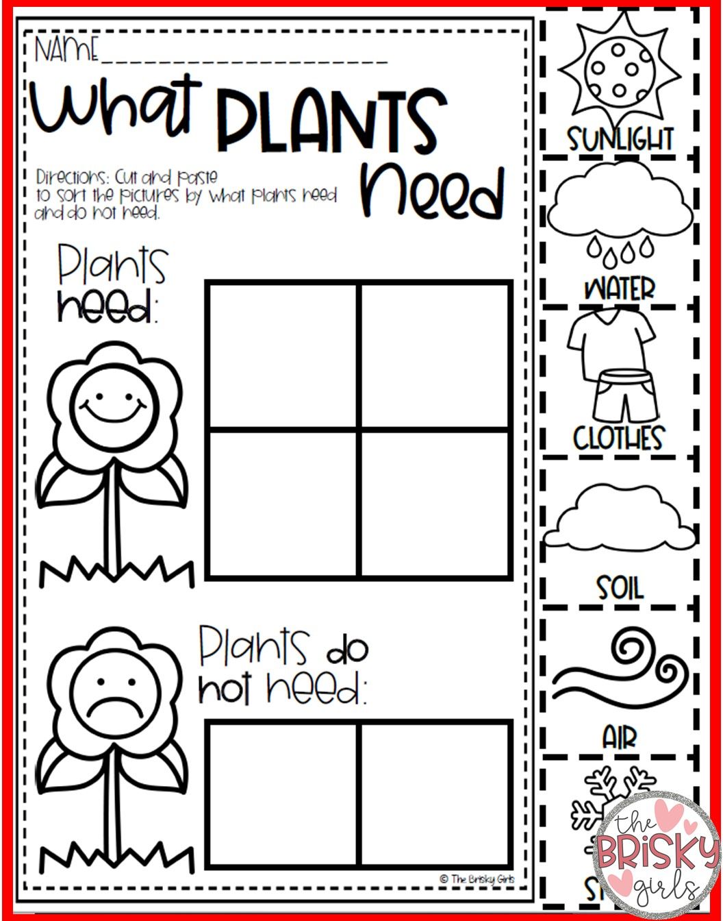 Worksheet Plant Life Cycle 55