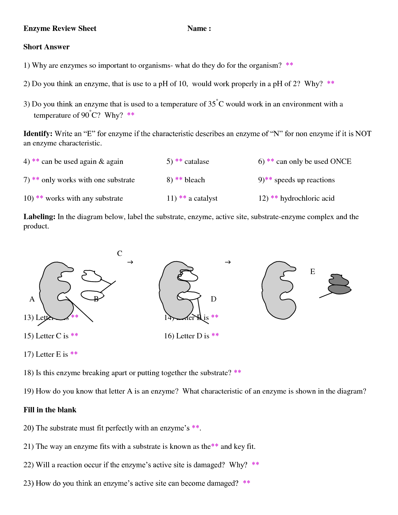 Worksheet Reaction Rates Answers 8