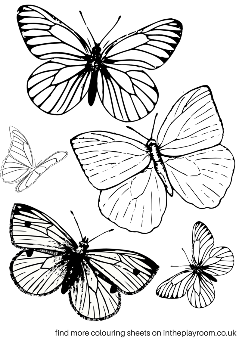 50 Butterfly Color Pages Printable 20