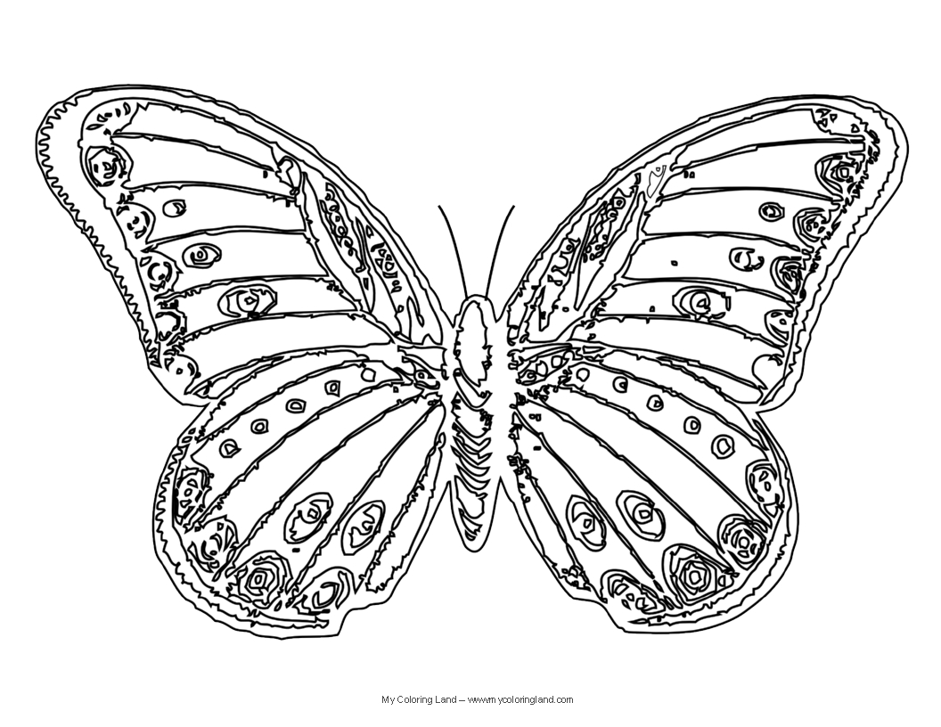 50 Butterfly Color Pages Printable 29