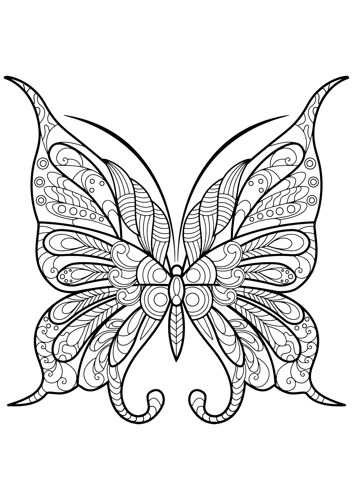 50 Butterfly Color Pages Printable 3