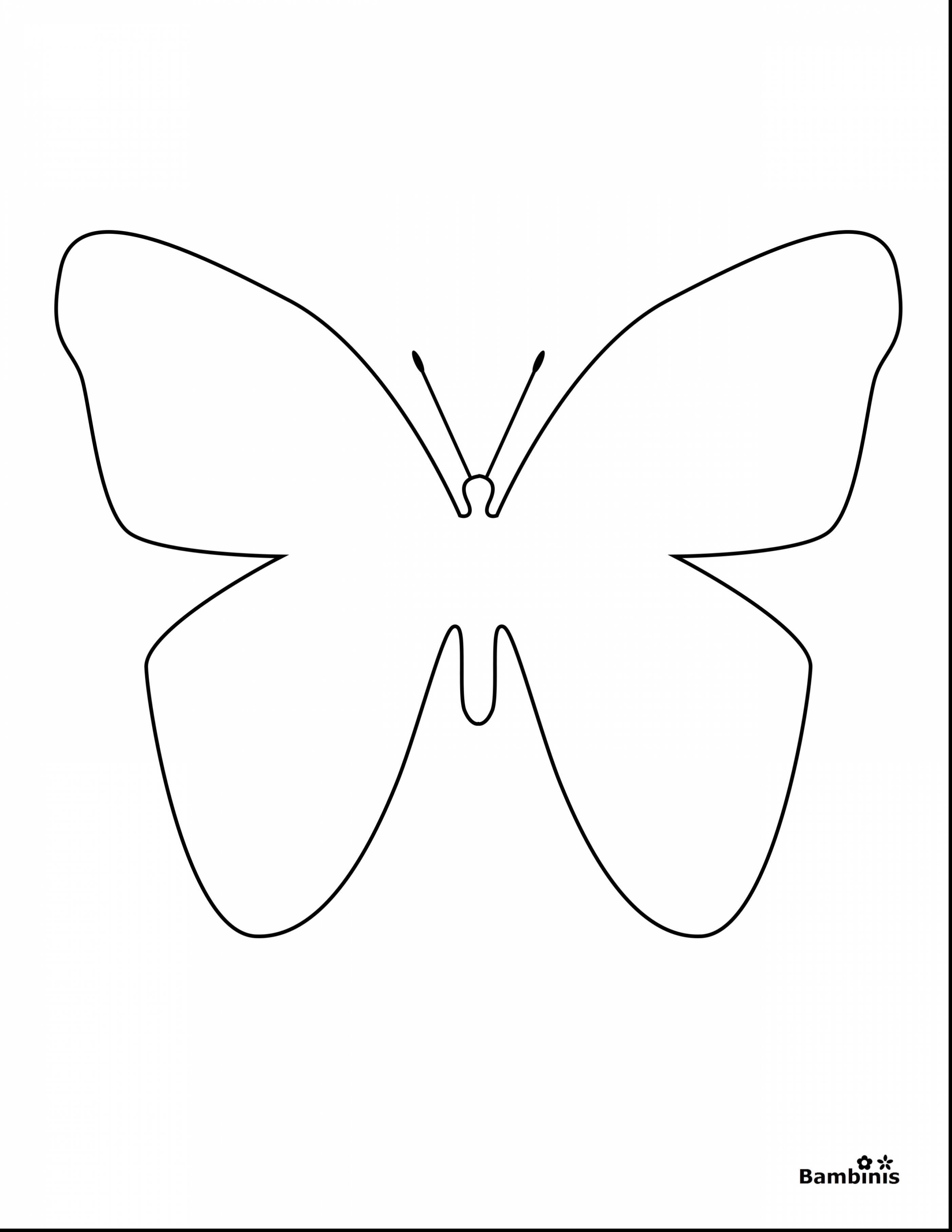 50 Butterfly Color Pages Printable 43