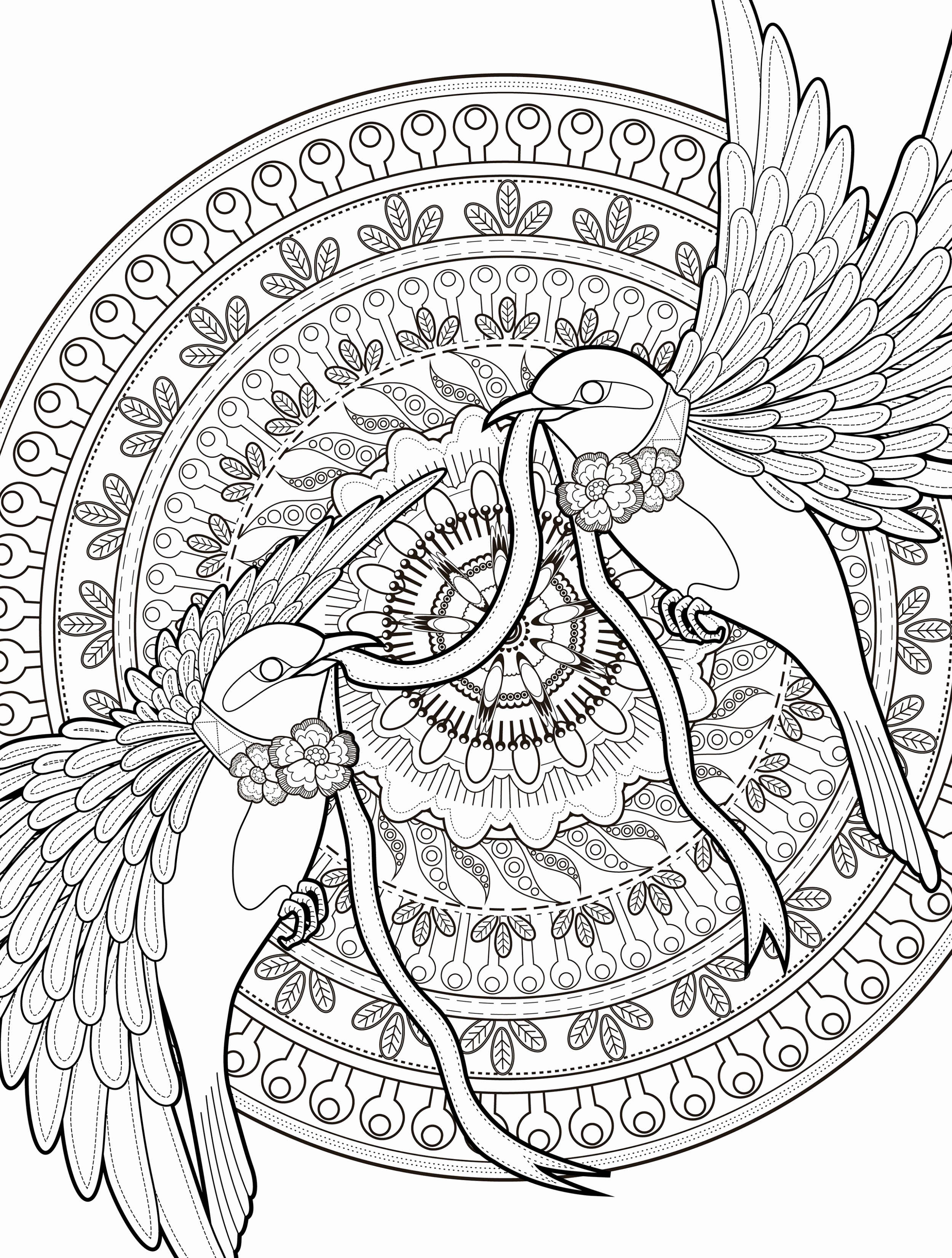 55 Adult Coloring Pages Online 49