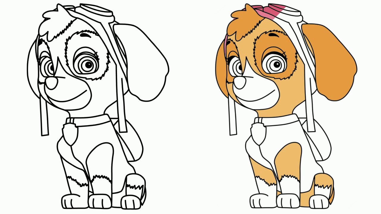 55 Skye Paw Patrol Coloring 23