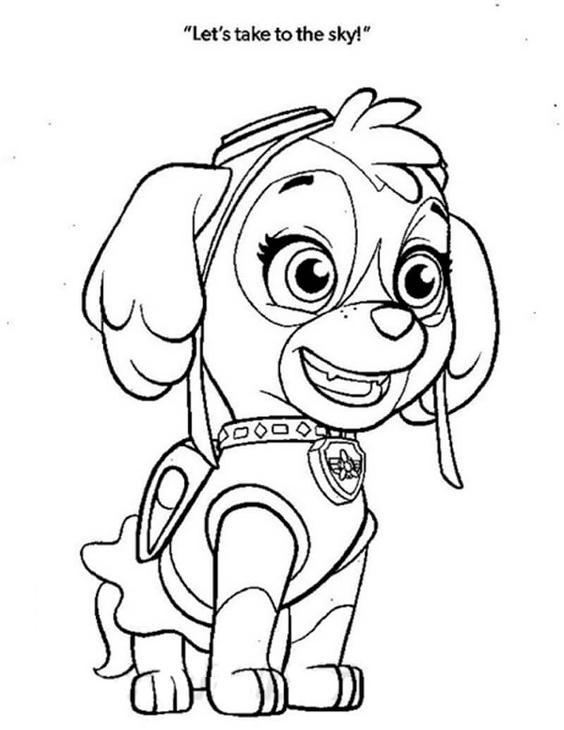 55 Skye Paw Patrol Coloring 27