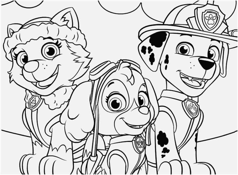 55 Skye Paw Patrol Coloring 8