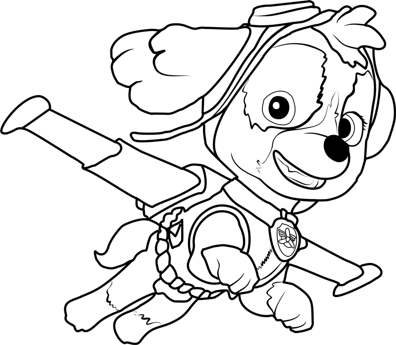 55 Skye Paw Patrol Coloring 9