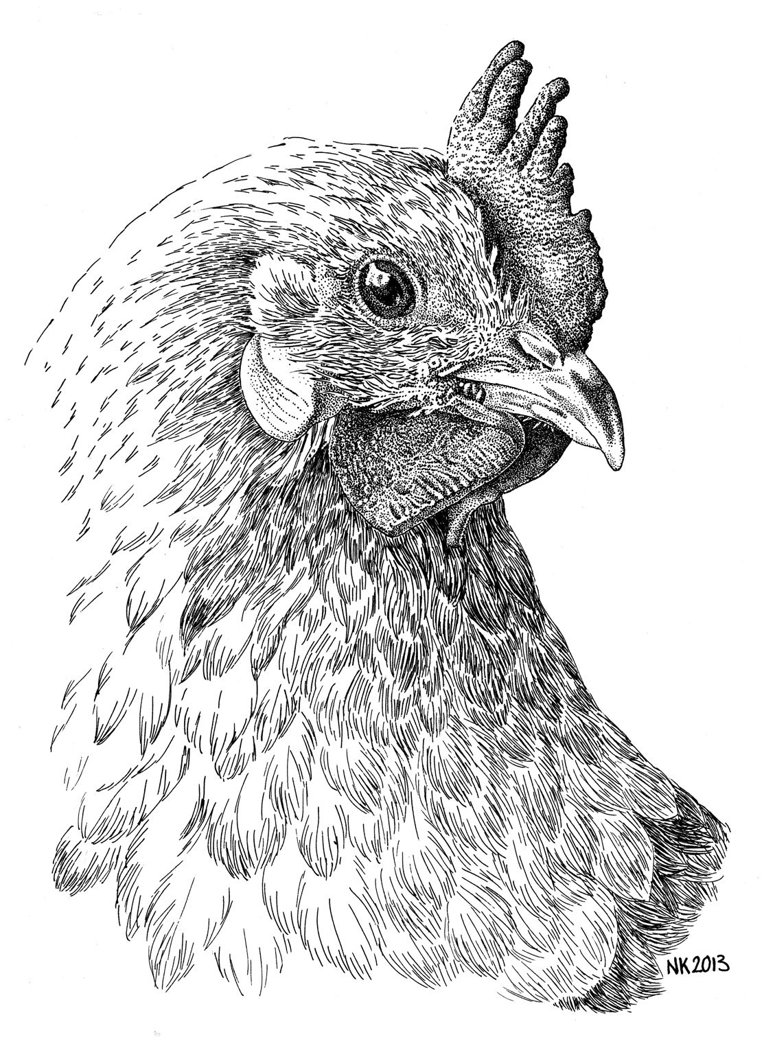 55 Realistic Chicken Coloring Pages 16