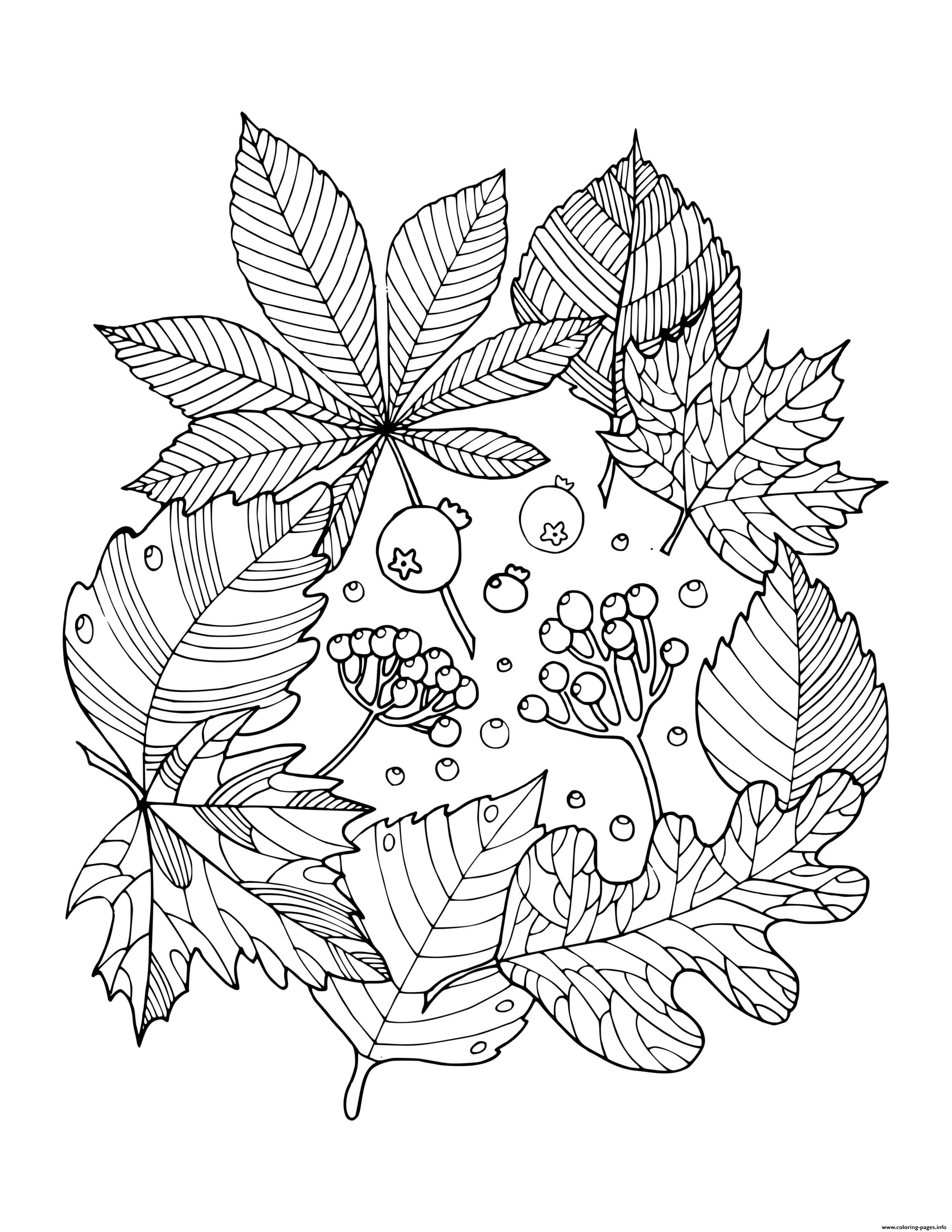 60 Adult Fall Coloring Pages Printable 61