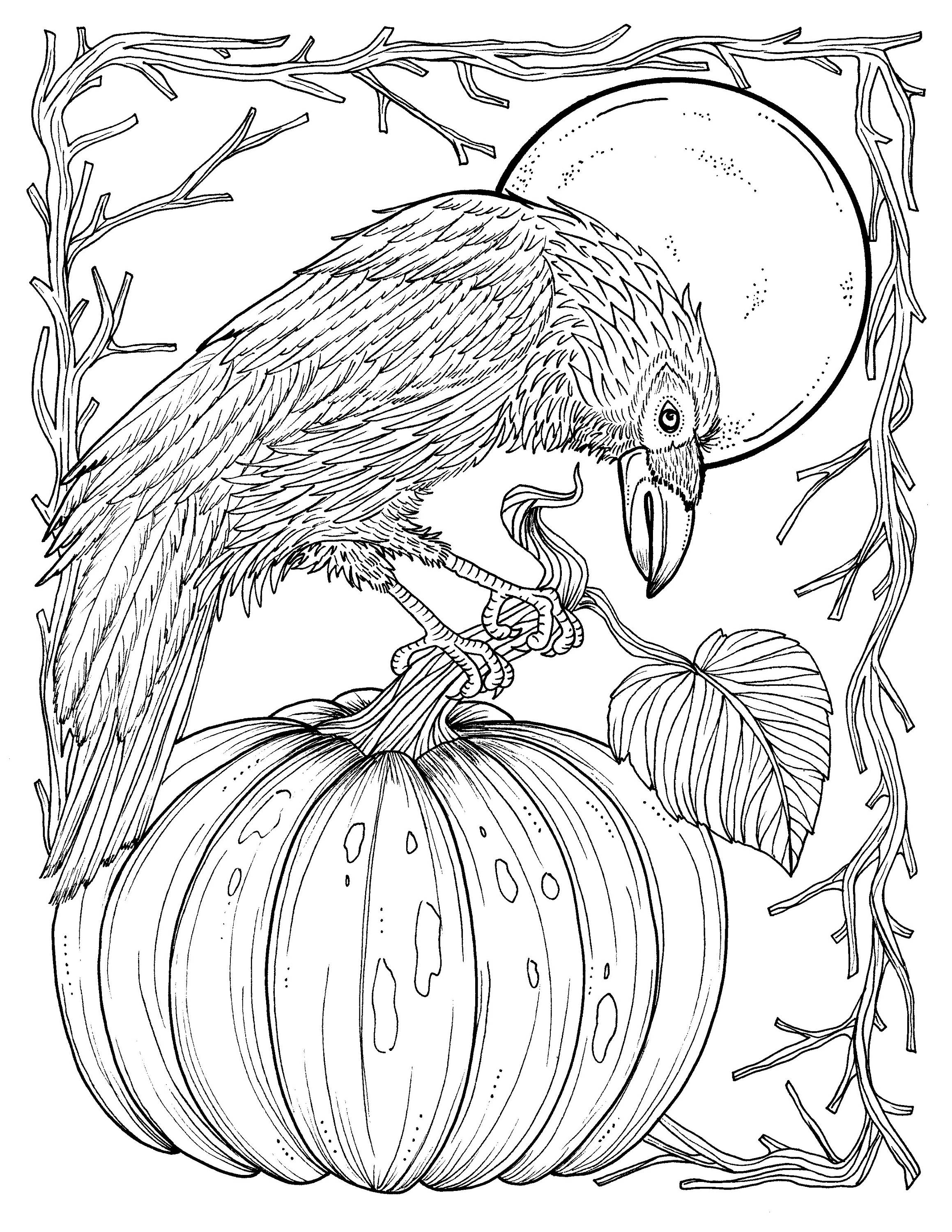 60 Adult Fall Coloring Pages Printable 7