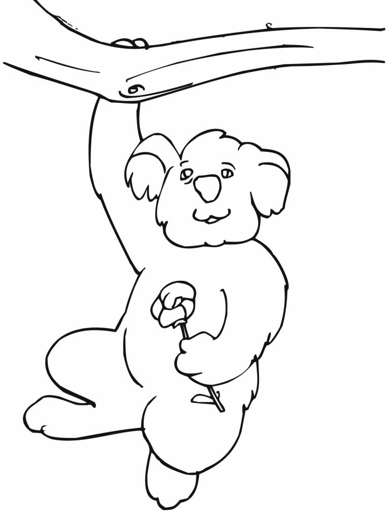 Get 85 Koala Coloring Pages Printable Ideas 44