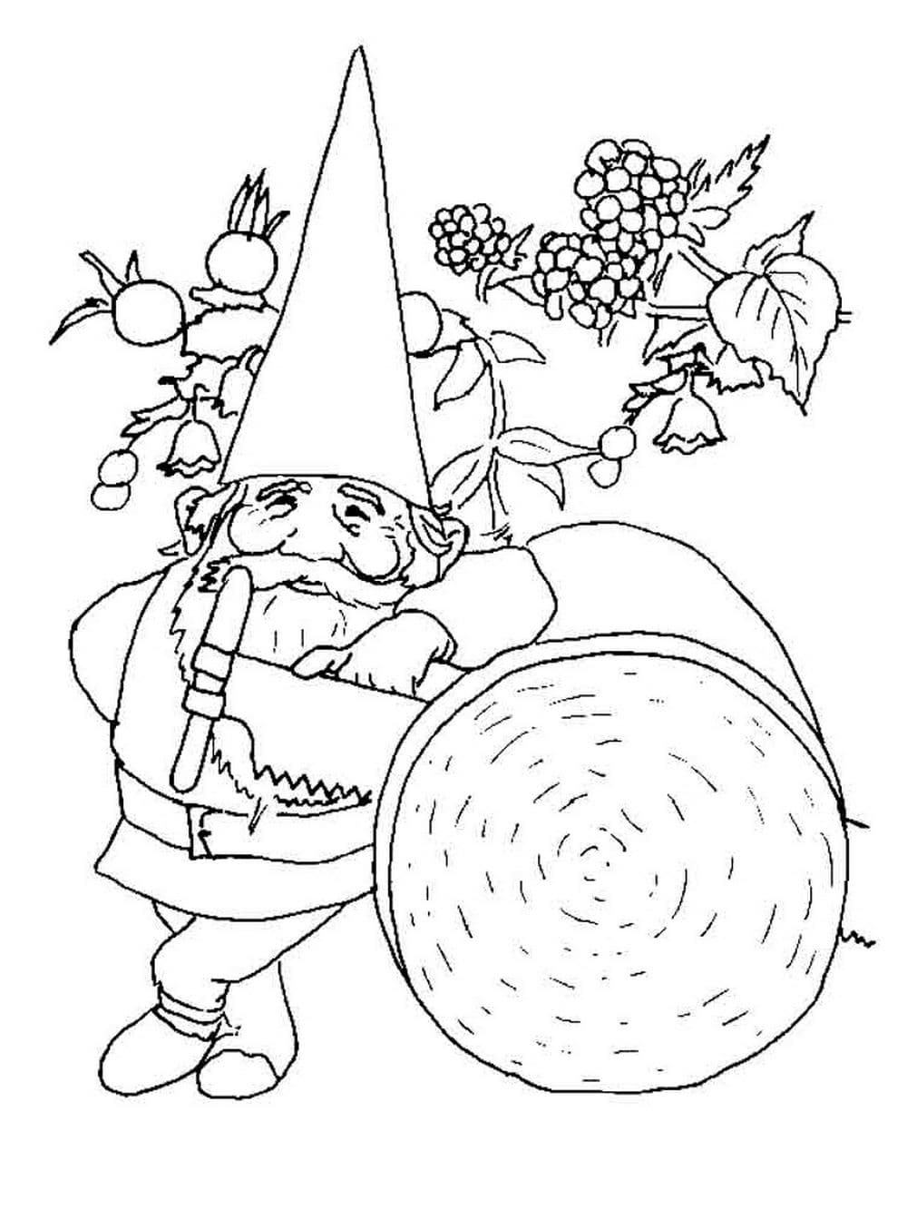 Save 60 Summer Gnome Coloring Pages Free Printable Ideas 59