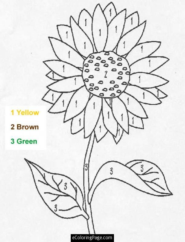 20 Flower Number Coloring Pages